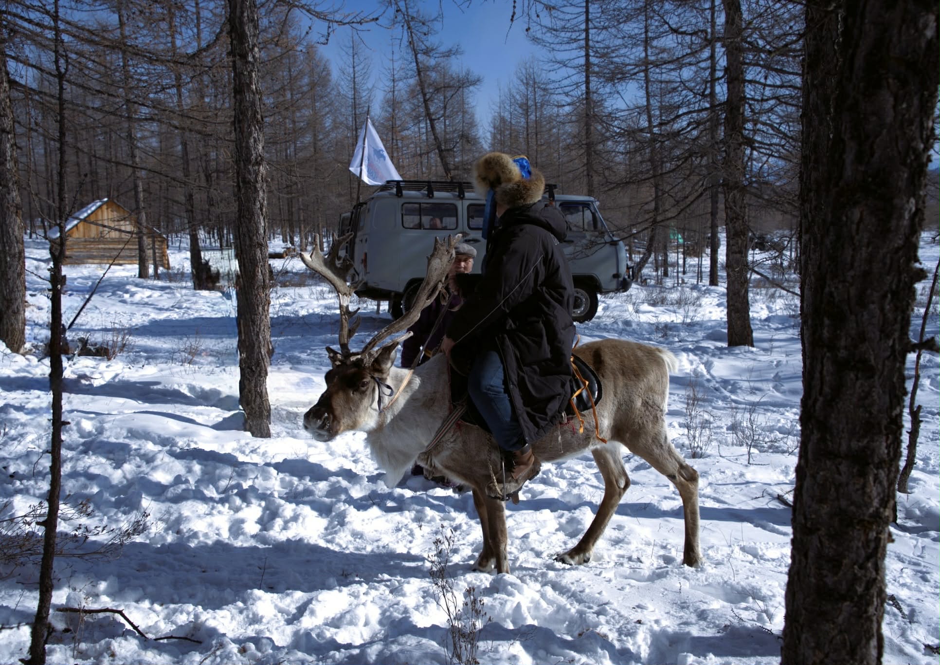 Tsagaan Nuur - Taiga